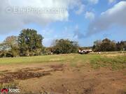 Terrain à MAREUIL-SUR-LAY-DISSAIS