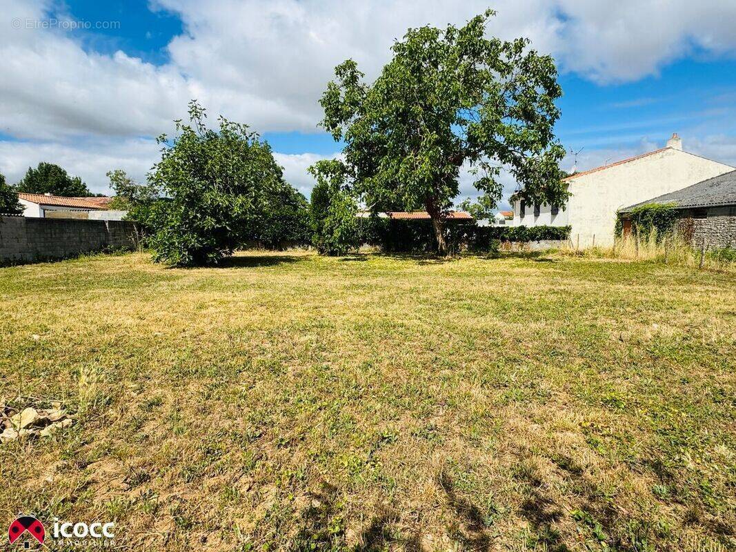 Terrain à LES MAGNILS-REIGNIERS