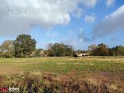 Terrain à MAREUIL-SUR-LAY-DISSAIS