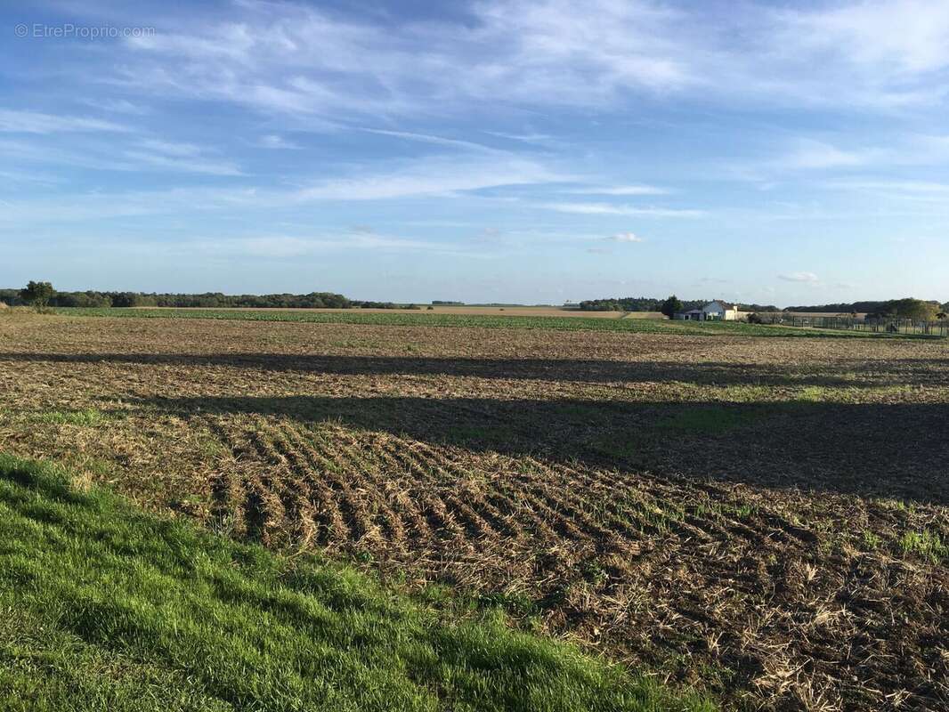 Terrain à MONNERVILLE