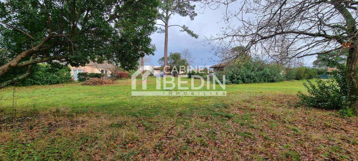 Terrain à BISCARROSSE