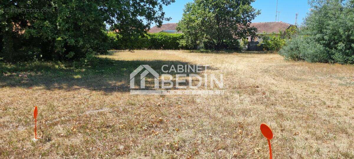 Terrain à BISCARROSSE
