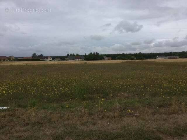 Terrain à SOYE-EN-SEPTAINE