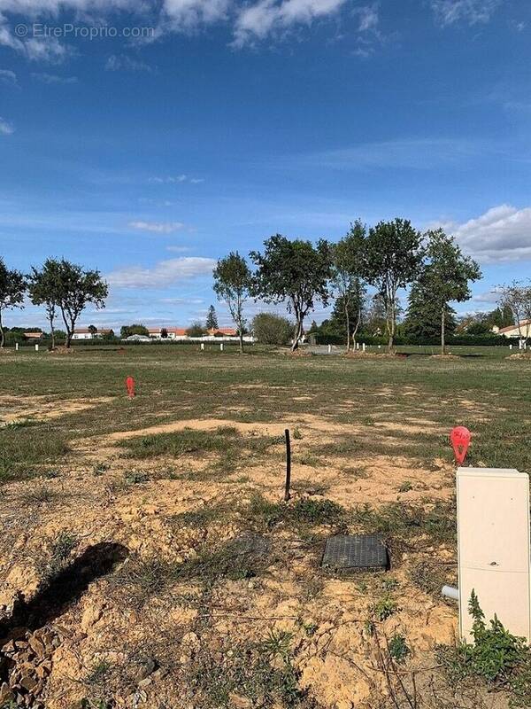 Terrain à AVRILLE