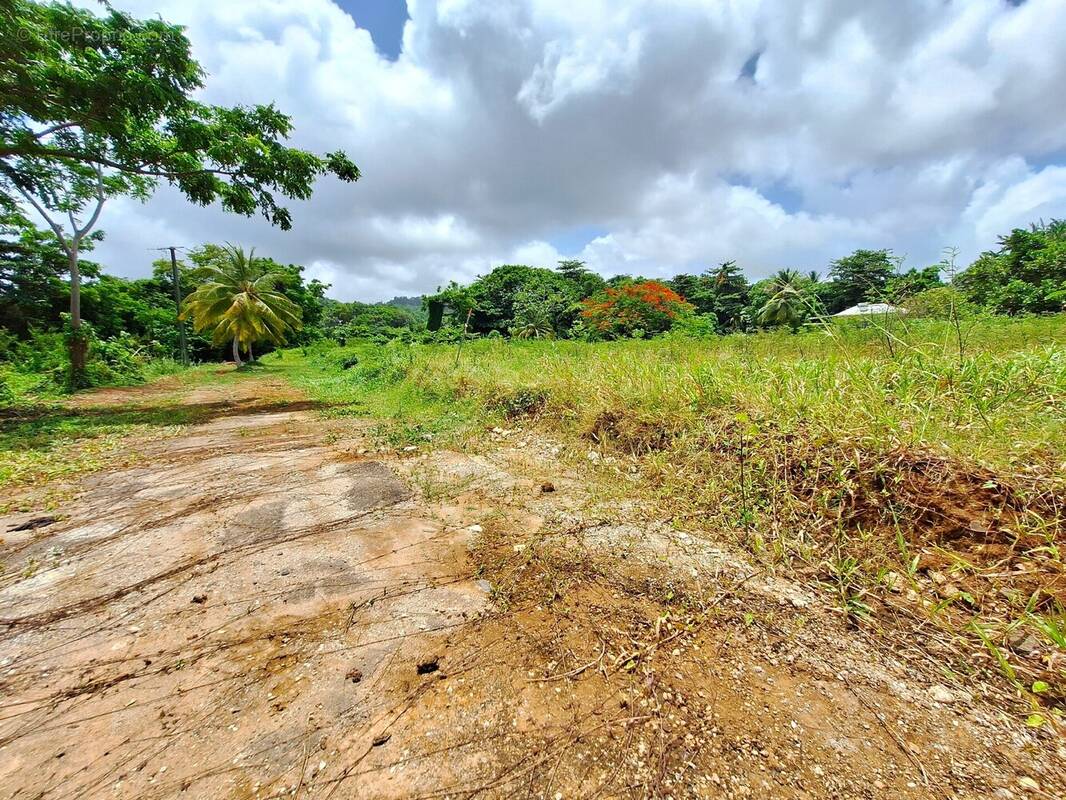 Terrain à LE ROBERT