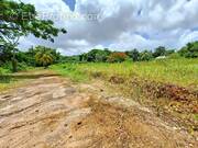 Terrain à LE ROBERT