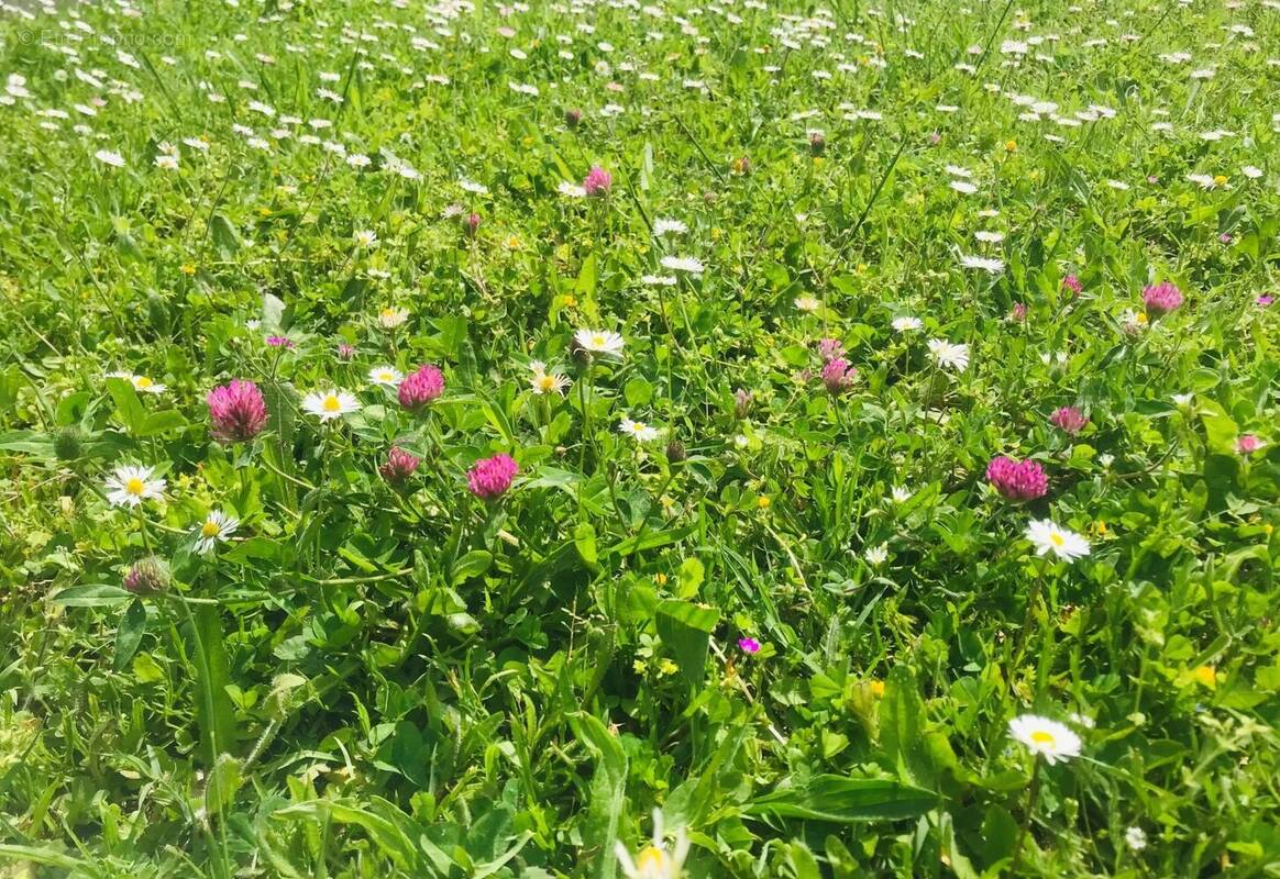 Terrain à LA PLAINE-SUR-MER