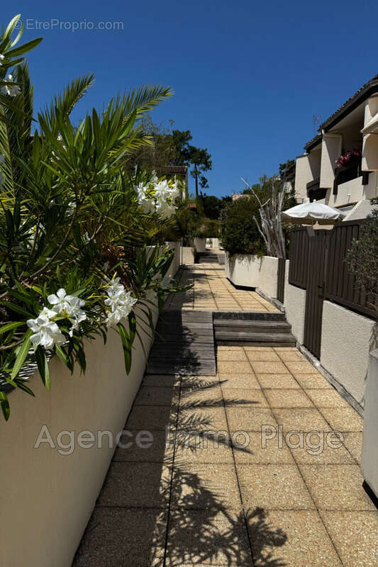 Appartement à LEGE-CAP-FERRET