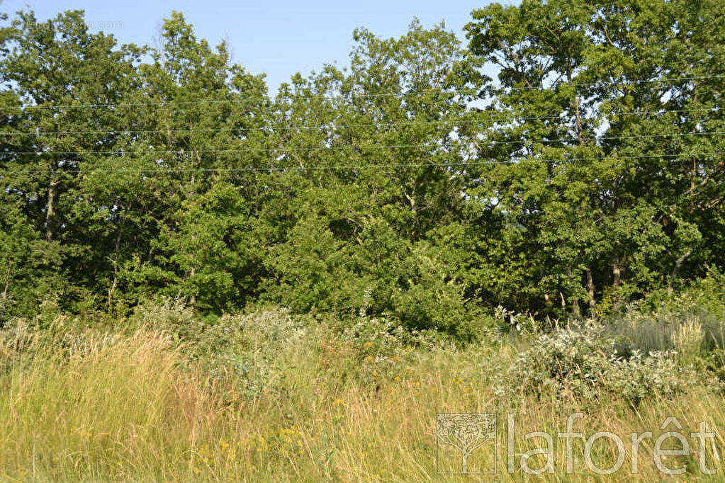 Terrain à MONCLAR-DE-QUERCY