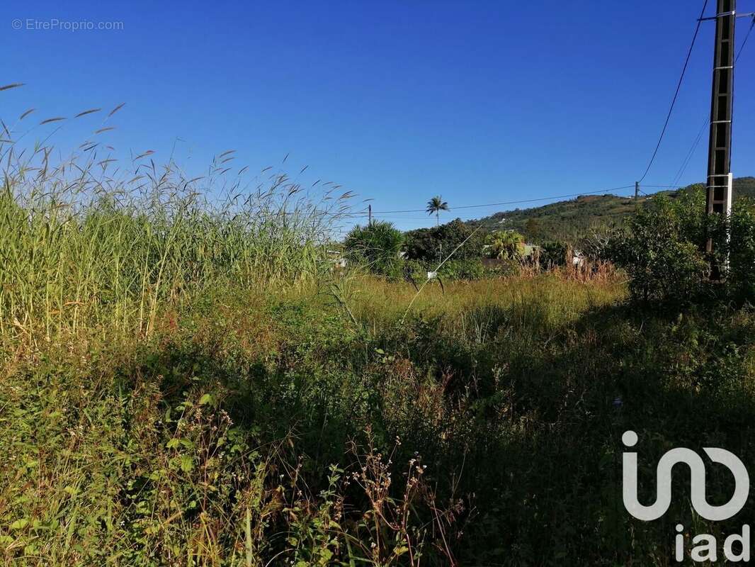 Photo 3 - Terrain à SAINT-JOSEPH