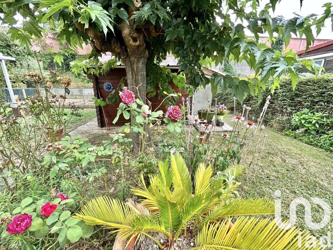 Photo 9 - Maison à COLOMIERS