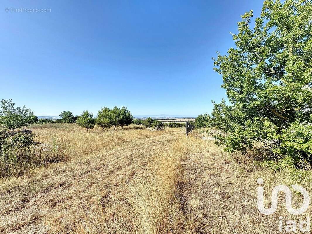 Photo 2 - Terrain à CARLIPA