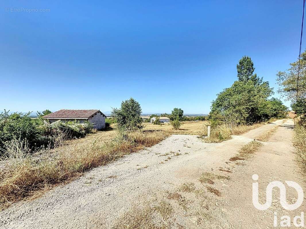 Photo 5 - Terrain à CARLIPA