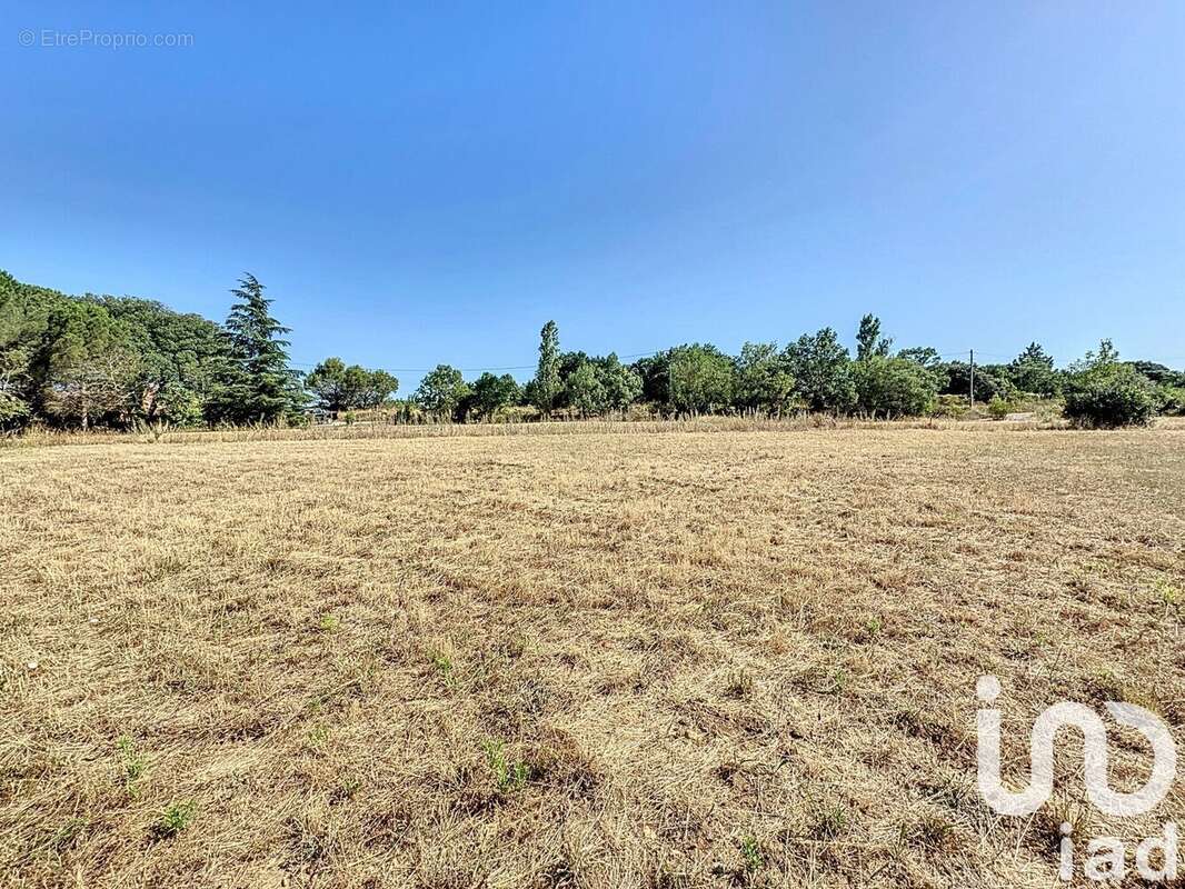 Photo 9 - Terrain à CARLIPA
