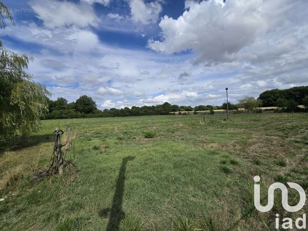 Photo 9 - Maison à CHATILLON-COLIGNY