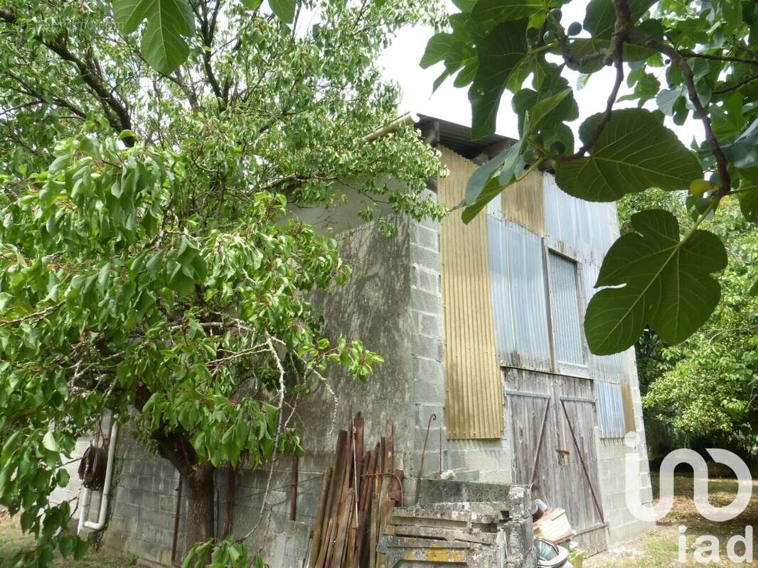 Photo 5 - Terrain à FERRIERES