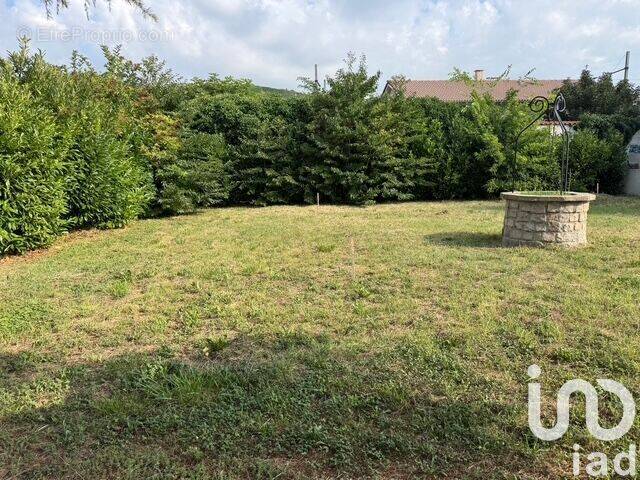 Photo 1 - Terrain à CONDRIEU