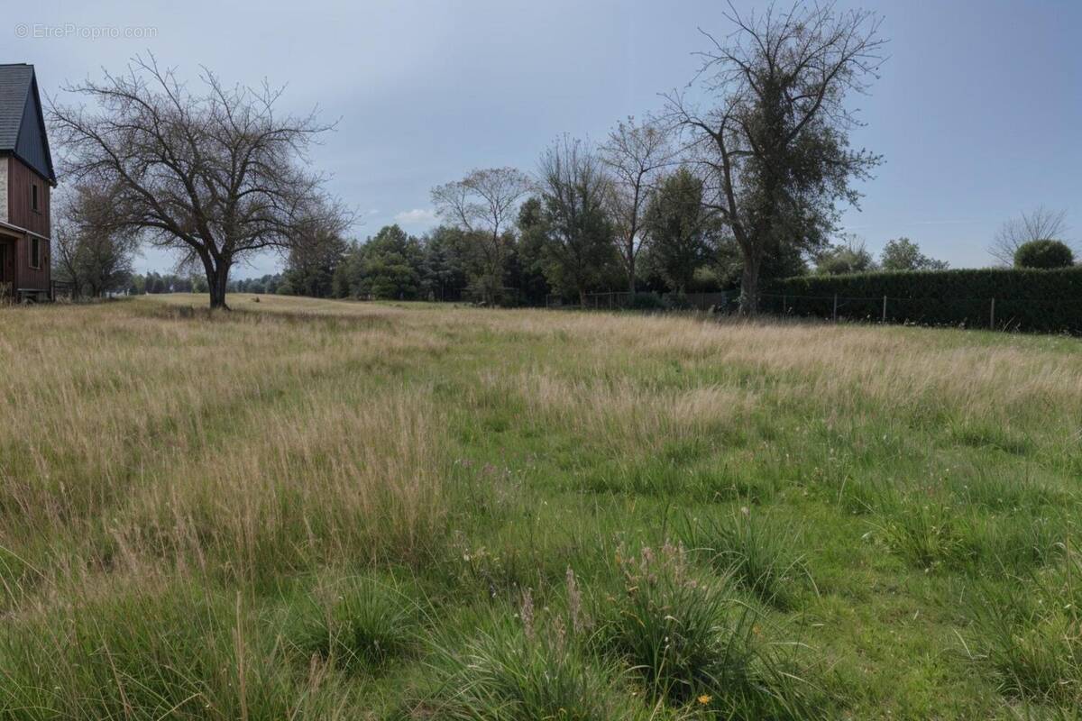 Photo 1 - Terrain à HARDIVILLERS