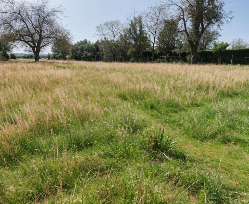 Photo 2 - Terrain à HARDIVILLERS