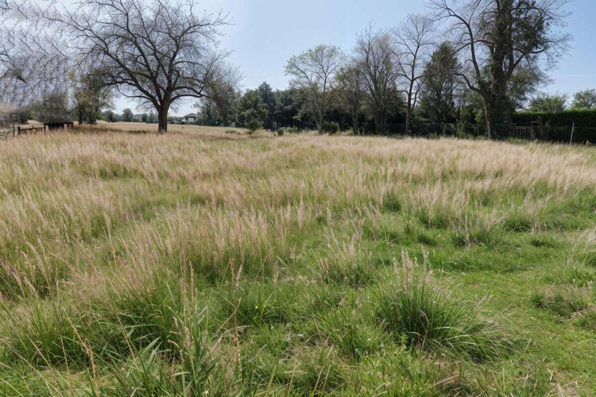 Photo 3 - Terrain à HARDIVILLERS