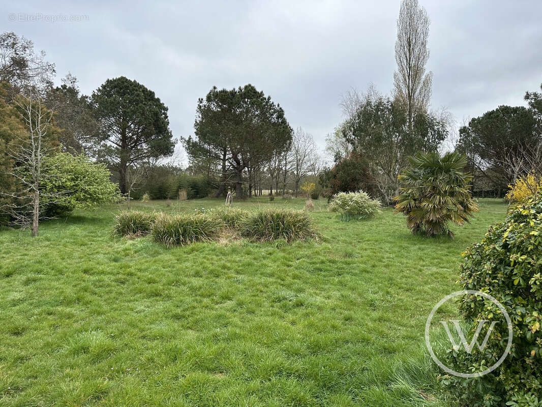 Maison à VENDAYS-MONTALIVET