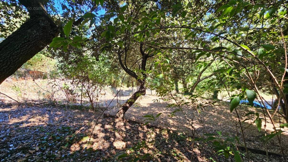 Terrain à SAINTE-ANASTASIE