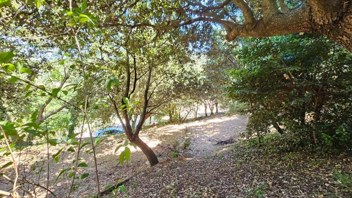 Terrain à SAINTE-ANASTASIE