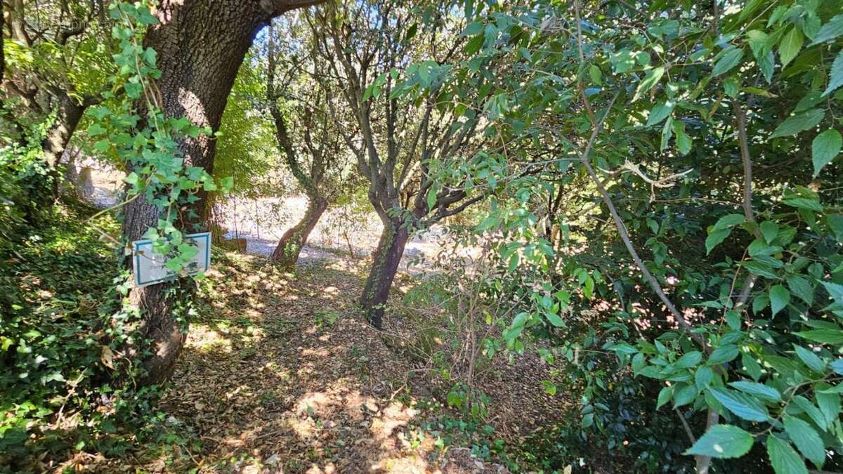 Terrain à SAINTE-ANASTASIE