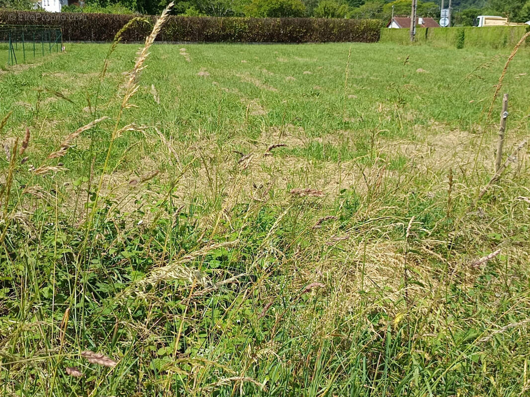 Terrain à ESPES-UNDUREIN