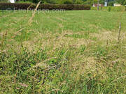 Terrain à ESPES-UNDUREIN