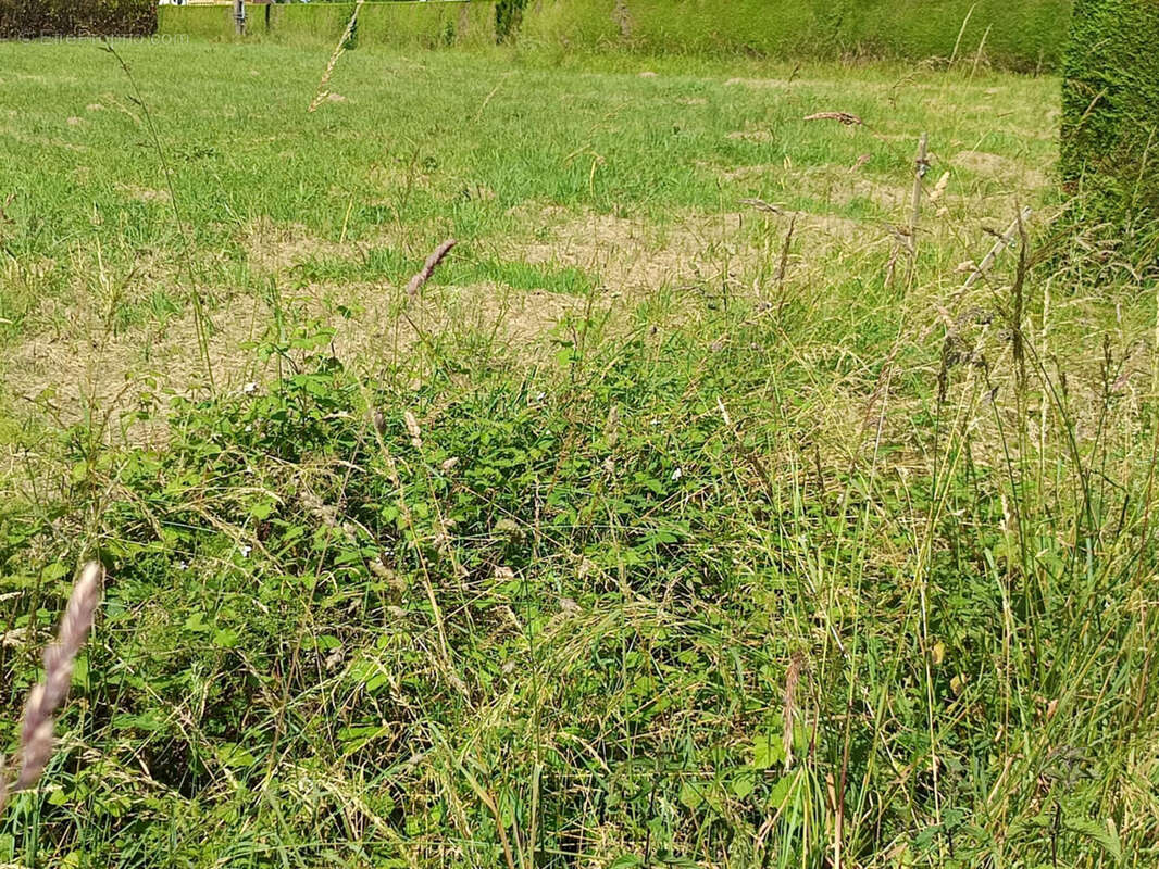 Terrain à ESPES-UNDUREIN