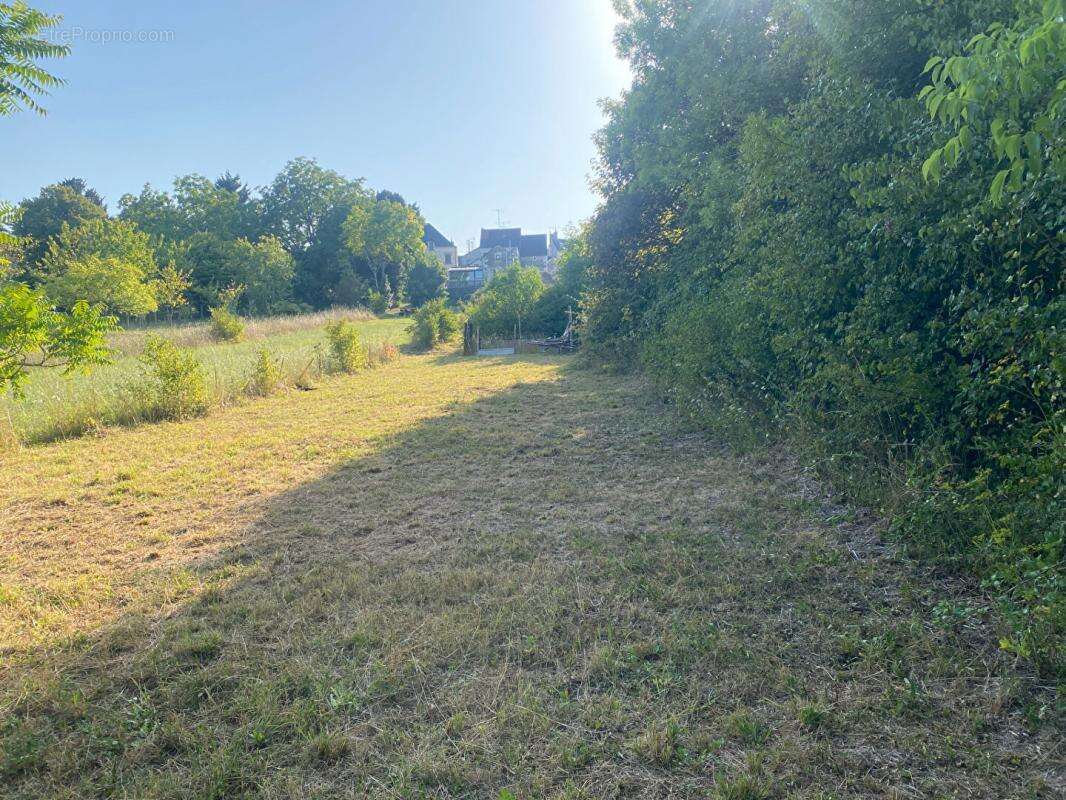 Maison à CHATILLON-SUR-INDRE