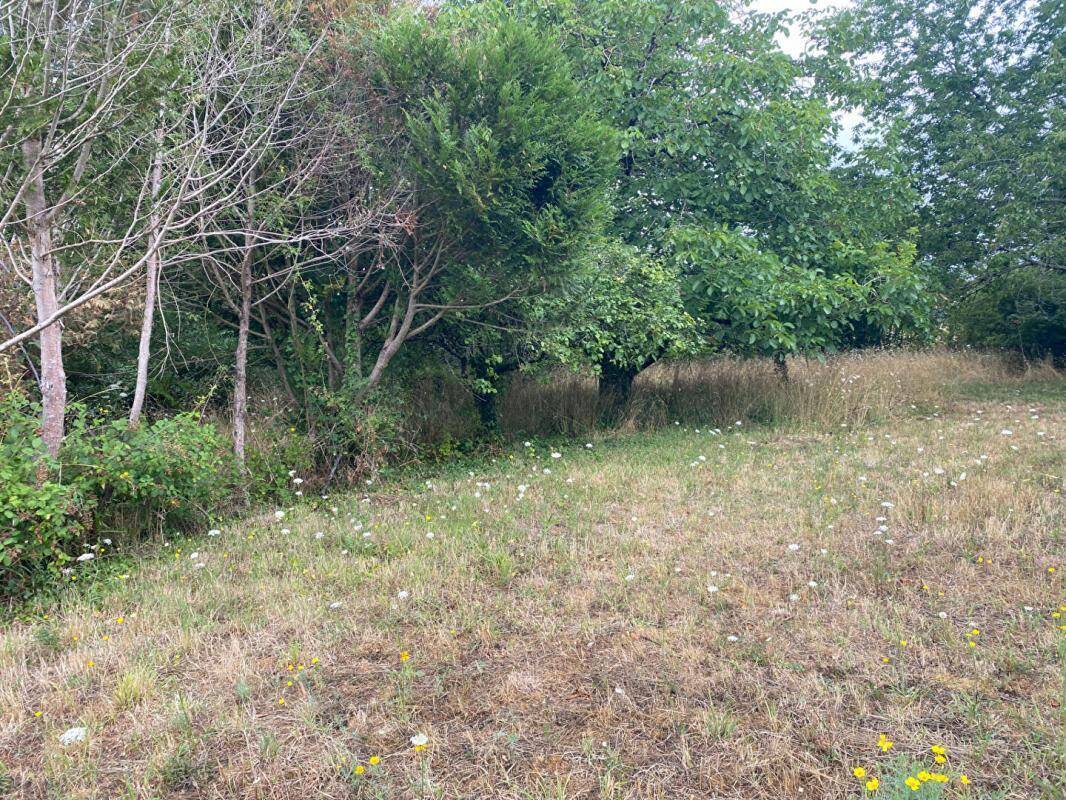 Maison à POULIGNY-SAINT-PIERRE