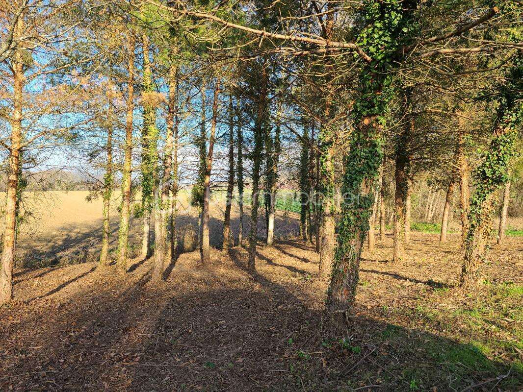 Terrain à GREZET-CAVAGNAN