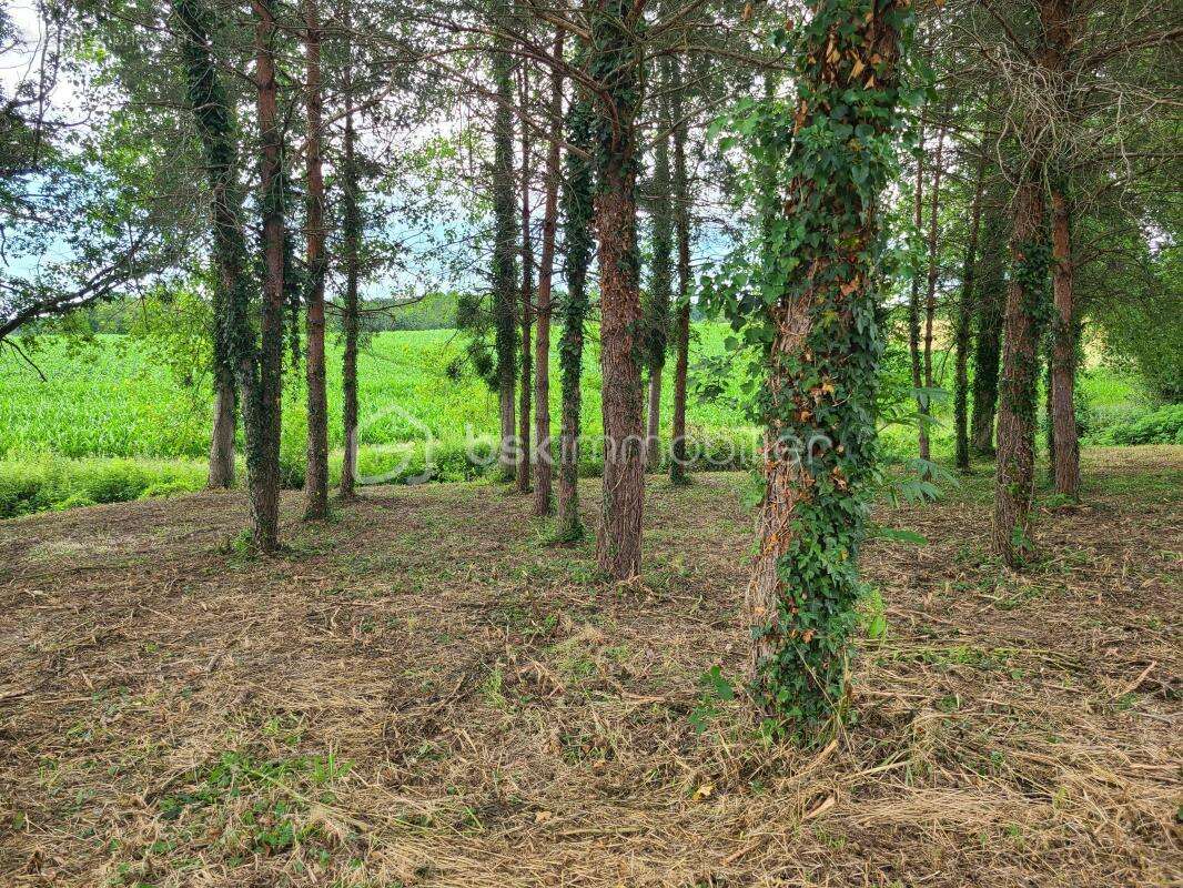Terrain à GREZET-CAVAGNAN
