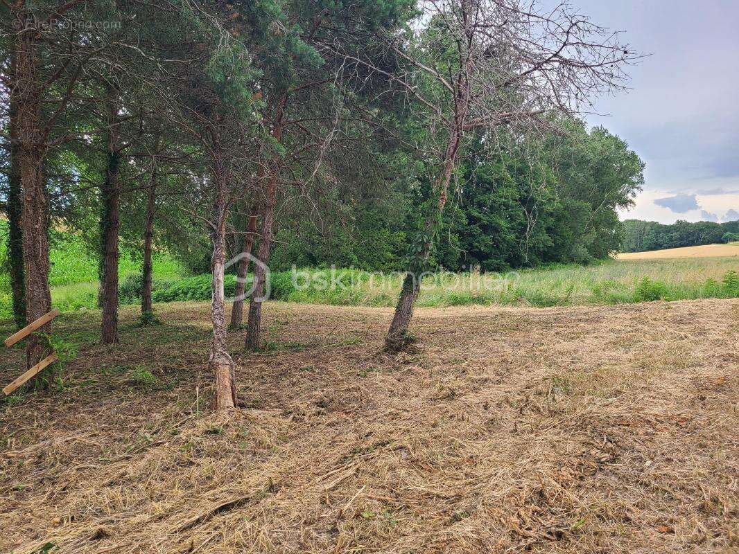 Terrain à GREZET-CAVAGNAN