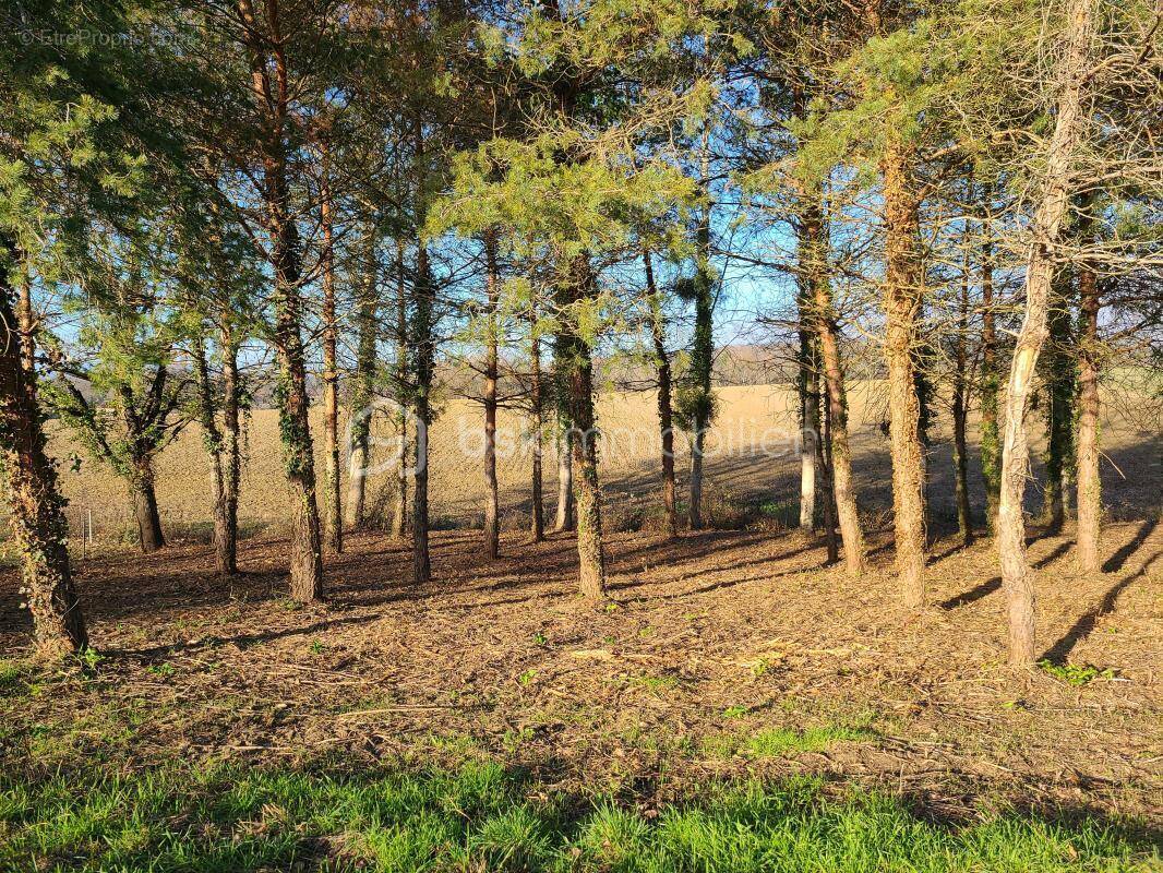 Terrain à GREZET-CAVAGNAN