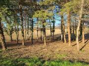 Terrain à GREZET-CAVAGNAN