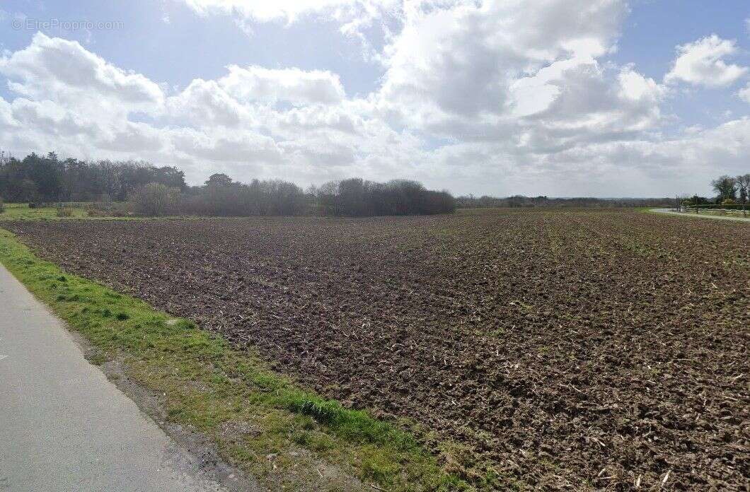 Terrain à PLEURTUIT