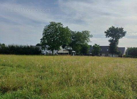 Terrain à LA VICOMTE-SUR-RANCE