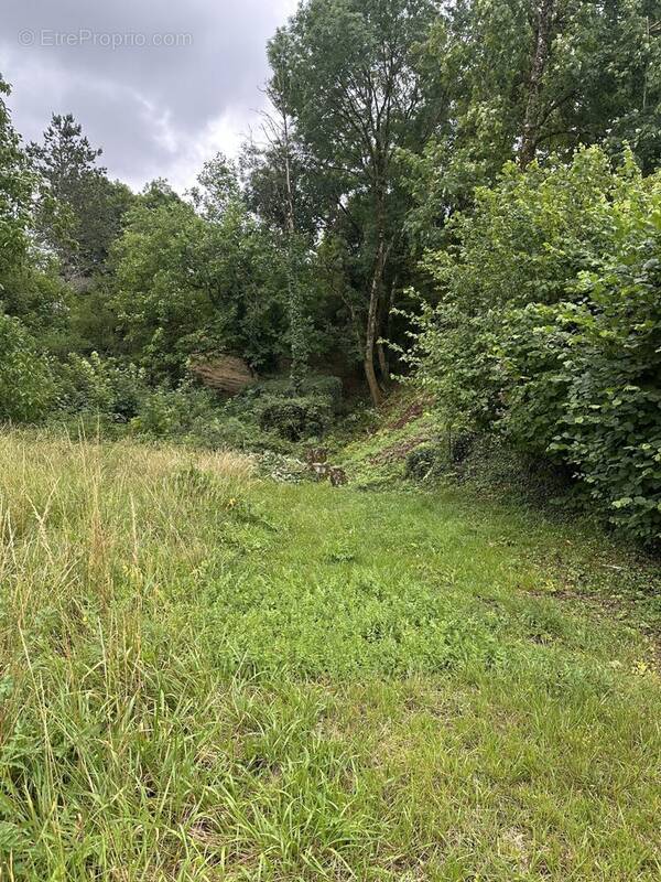 Terrain à BAR-LE-DUC