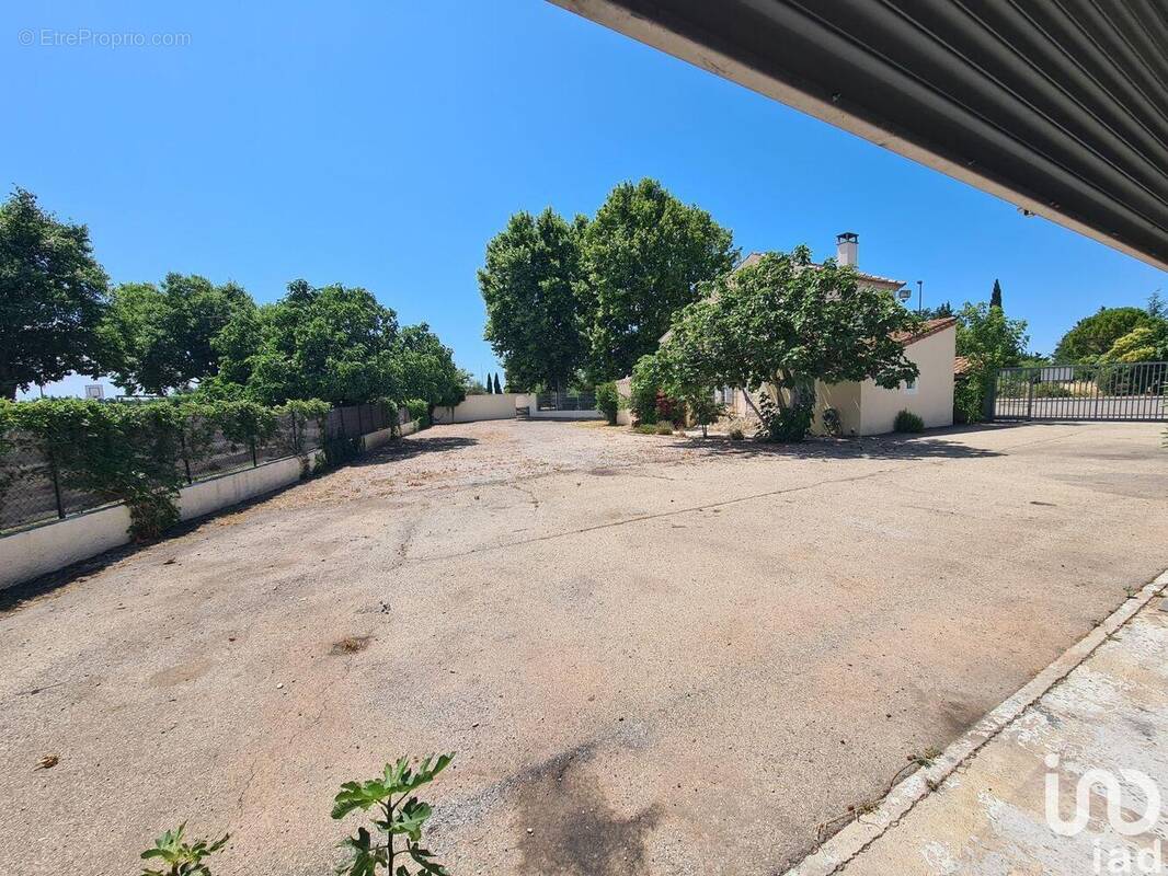 Photo 1 - Commerce à L&#039;ISLE-SUR-LA-SORGUE