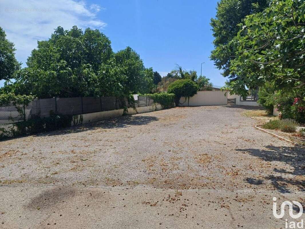 Photo 4 - Commerce à L&#039;ISLE-SUR-LA-SORGUE