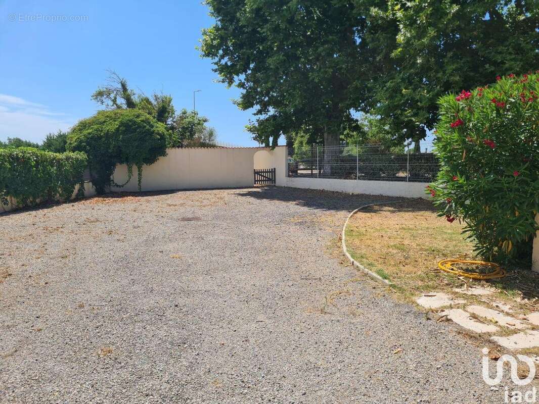 Photo 5 - Commerce à L&#039;ISLE-SUR-LA-SORGUE