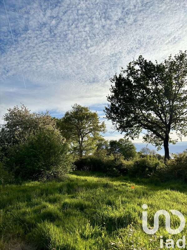Photo 2 - Terrain à LE GIROUARD