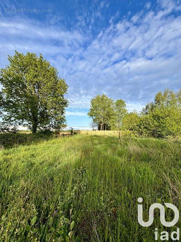 Photo 4 - Terrain à LE GIROUARD