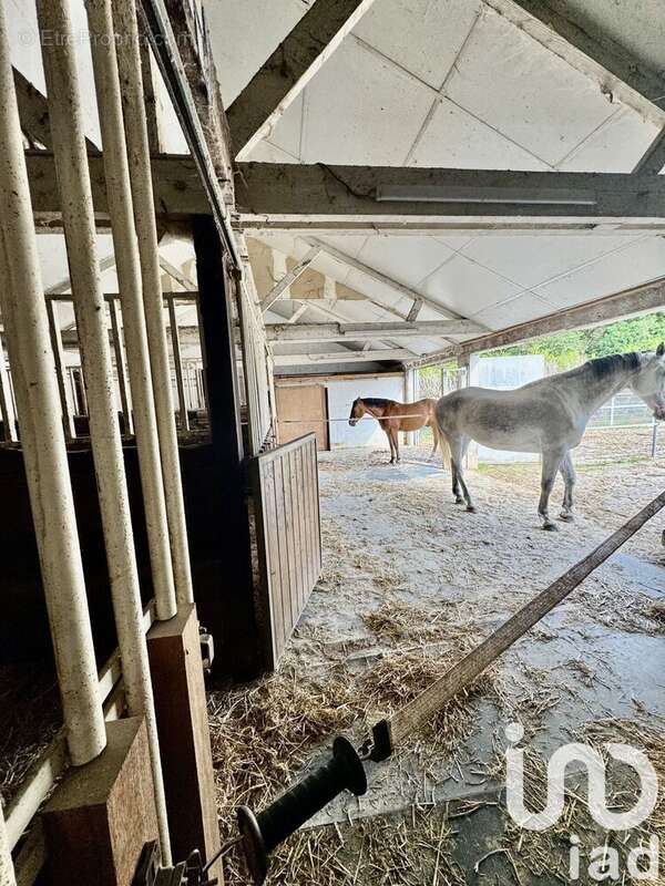 Photo 5 - Maison à ROMILLY-SUR-SEINE