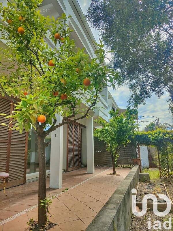 Photo 1 - Appartement à HYERES