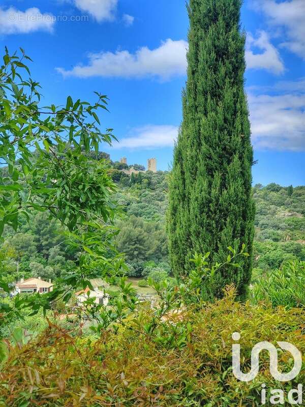 Photo 9 - Appartement à HYERES