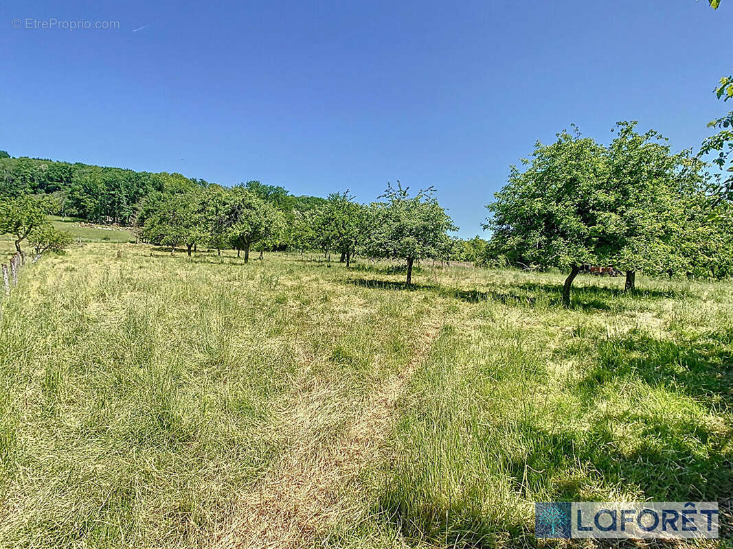 Maison à BASSONCOURT